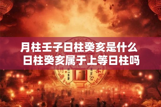 月柱壬子日柱癸亥是什么 日柱癸亥属于上等日柱吗