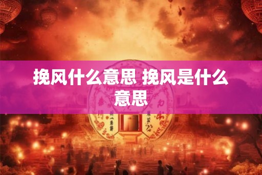 挽风什么意思 挽风是什么意思