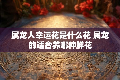 属龙人幸运花是什么花 属龙的适合养哪种鲜花