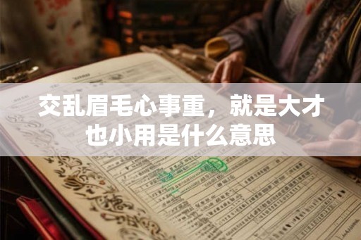 交乱眉毛心事重，就是大才也小用是什么意思