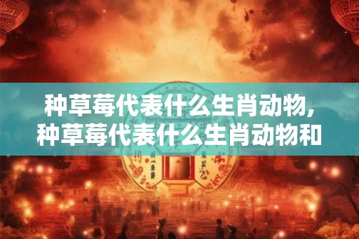 种草莓代表什么生肖动物,种草莓代表什么生肖动物和动物