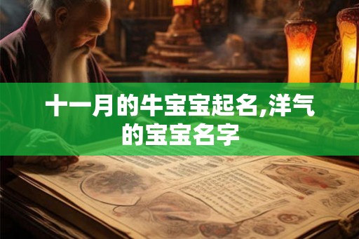 十一月的牛宝宝起名,洋气的宝宝名字