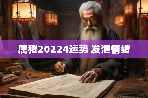属猪20224运势 发泄情绪