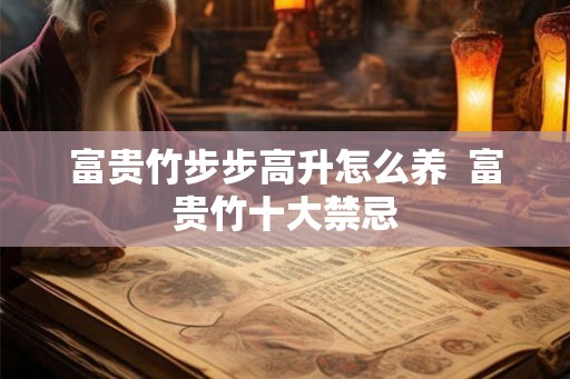 富贵竹步步高升怎么养  富贵竹十大禁忌