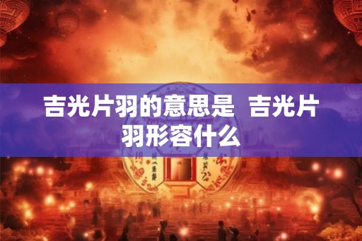 吉光片羽的意思是  吉光片羽形容什么