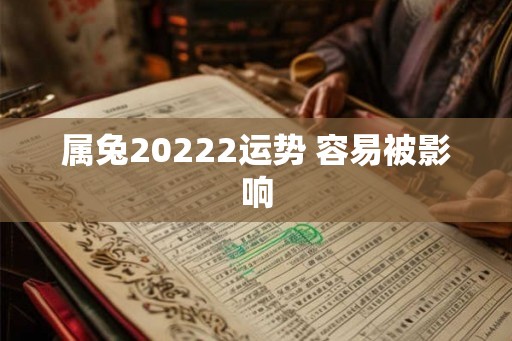 属兔20222运势 容易被影响