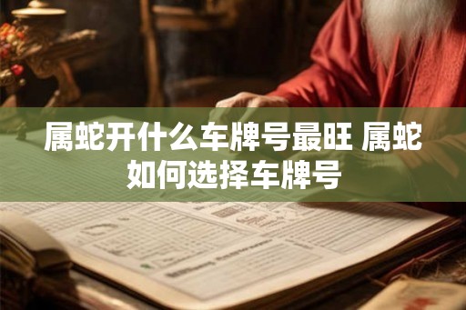 属蛇开什么车牌号最旺 属蛇如何选择车牌号