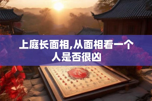 上庭长面相,从面相看一个人是否很凶