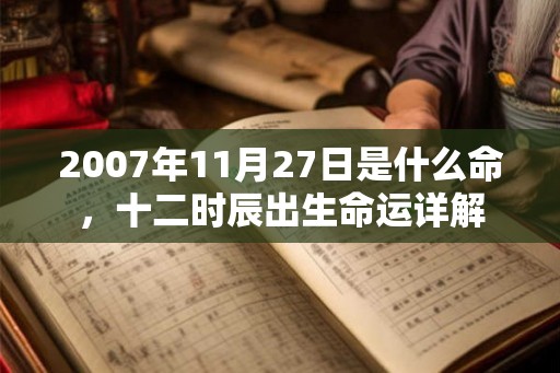 2007年11月27日是什么命，十二时辰出生命运详解