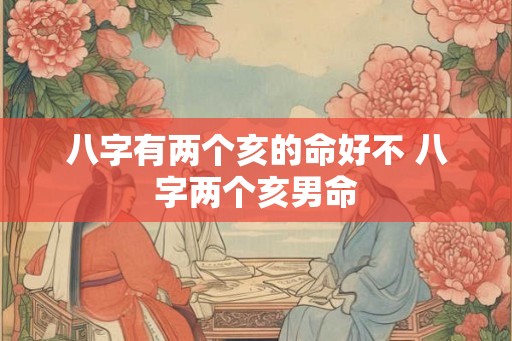 八字有两个亥的命好不 八字两个亥男命