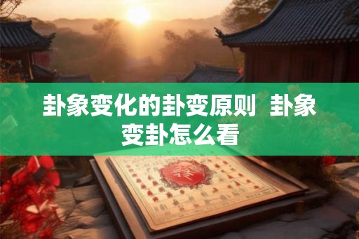 卦象变化的卦变原则  卦象变卦怎么看