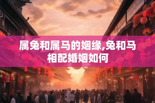 属兔和属马的姻缘,兔和马相配婚姻如何