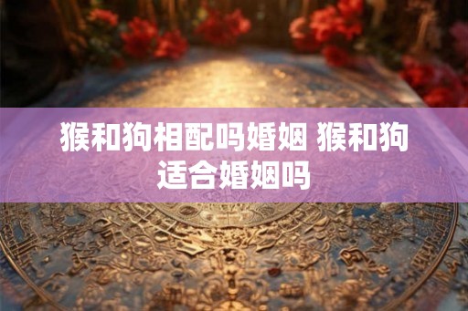 猴和狗相配吗婚姻 猴和狗适合婚姻吗