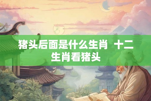 猪头后面是什么生肖  十二生肖看猪头