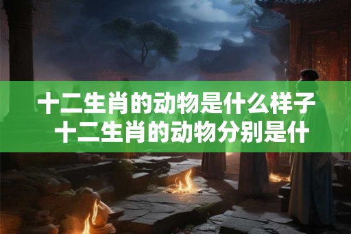 十二生肖的动物是什么样子  十二生肖的动物分别是什么
