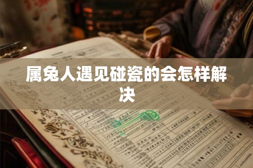 属兔人遇见碰瓷的会怎样解决