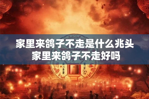 家里来鸽子不走是什么兆头 家里来鸽子不走好吗