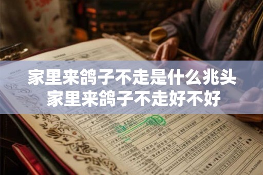 家里来鸽子不走是什么兆头 家里来鸽子不走好不好 家里来鸽子不走是什么兆头 家里来鸽子不走好不好