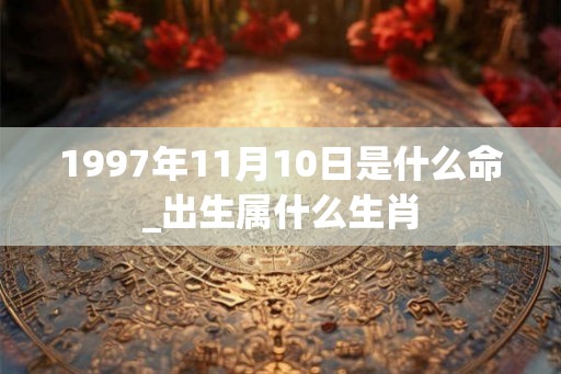 1997年11月10日是什么命_出生属什么生肖