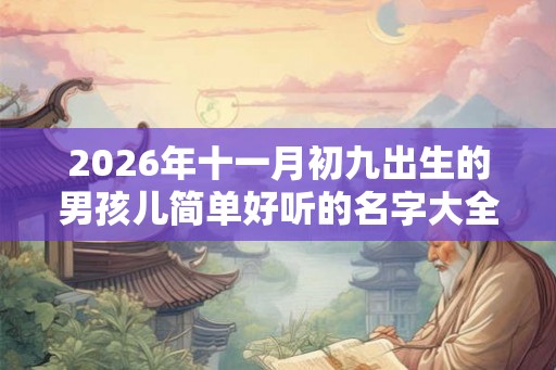 2026年十一月初九出生的男孩儿简单好听的名字大全