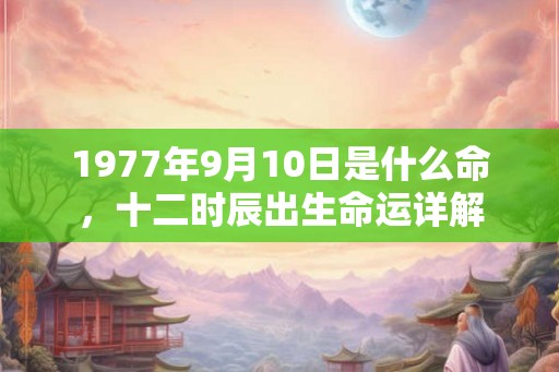 1977年9月10日是什么命，十二时辰出生命运详解