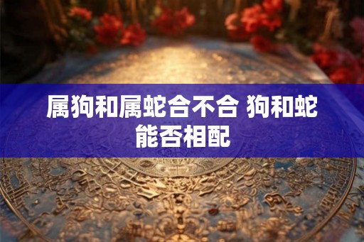 属狗和属蛇合不合 狗和蛇能否相配