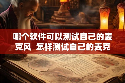 哪个软件可以测试自己的麦克风 怎样测试自己的麦克风 哪个软件可以测试自己的麦克风 怎样测试自己的麦克风
