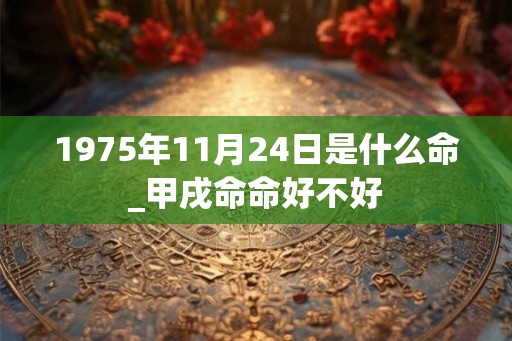 1975年11月24日是什么命_甲戌命命好不好