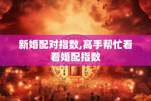 新婚配对指数,高手帮忙看看婚配指数 新婚配对指数,高手帮忙看看婚配指数