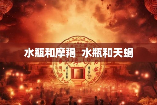 水瓶和摩羯  水瓶和天蝎