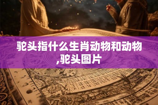 驼头指什么生肖动物和动物,驼头图片