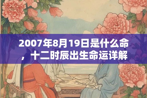 2007年8月19日是什么命，十二时辰出生命运详解