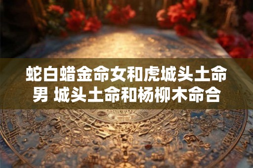 蛇白蜡金命女和虎城头土命男 城头土命和杨柳木命合吗