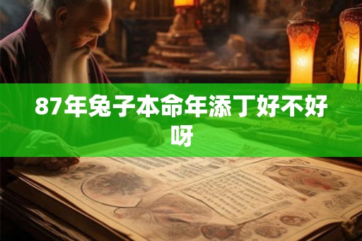 87年兔子本命年添丁好不好呀