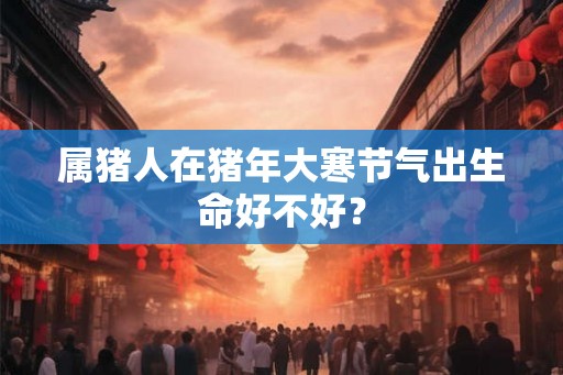 属猪人在猪年大寒节气出生命好不好？