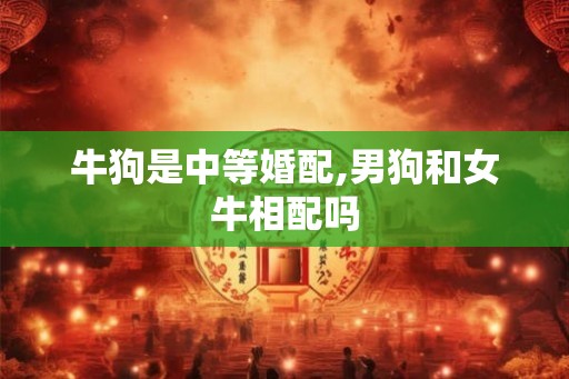 牛狗是中等婚配,男狗和女牛相配吗
