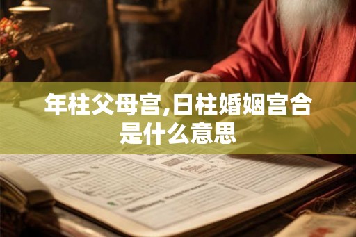 年柱父母宫,日柱婚姻宫合是什么意思