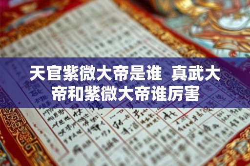 天官紫微大帝是谁  真武大帝和紫微大帝谁厉害
