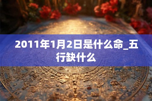 2011年1月2日是什么命_五行缺什么