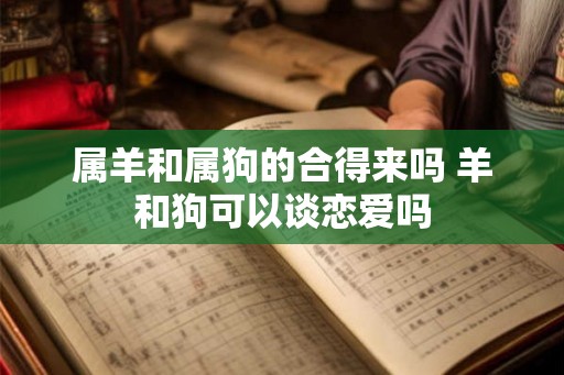 属羊和属狗的合得来吗 羊和狗可以谈恋爱吗