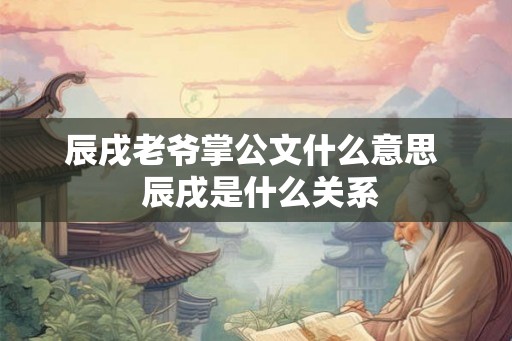 辰戌老爷掌公文什么意思  辰戌是什么关系