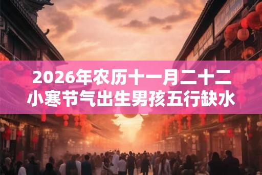 2026年农历十一月二十二小寒节气出生男孩五行缺水取名大全