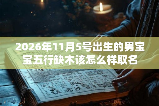 2026年11月5号出生的男宝宝五行缺木该怎么样取名