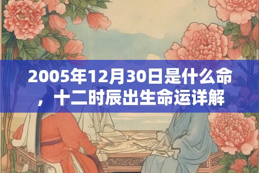 2005年12月30日是什么命，十二时辰出生命运详解