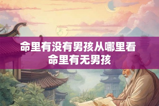 命里有没有男孩从哪里看 命里有无男孩