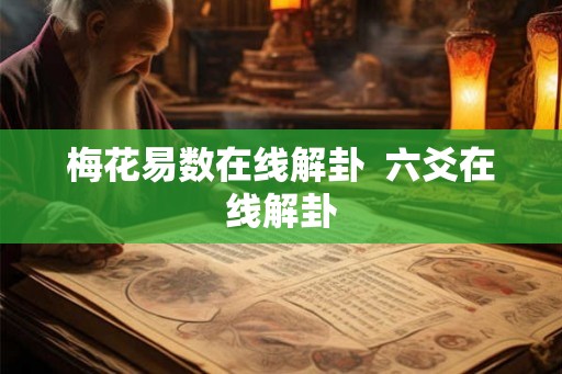 梅花易数在线解卦  六爻在线解卦