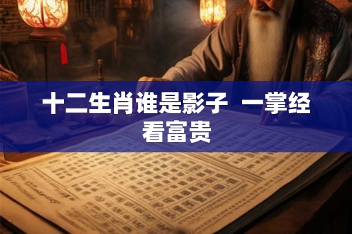 十二生肖谁是影子  一掌经看富贵
