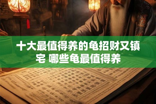十大最值得养的龟招财又镇宅 哪些龟最值得养