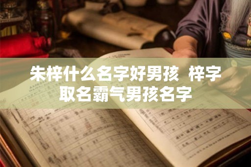 朱梓什么名字好男孩  梓字取名霸气男孩名字