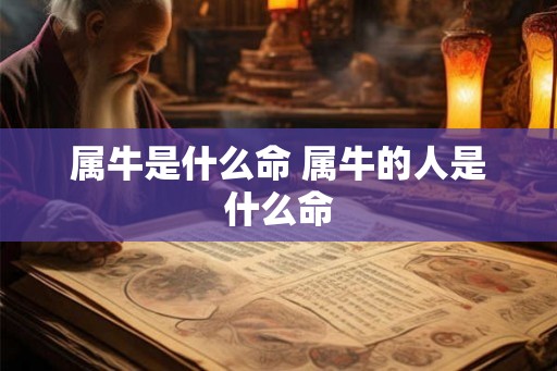 属牛是什么命 属牛的人是什么命 属牛是什么命 属牛的人是什么命